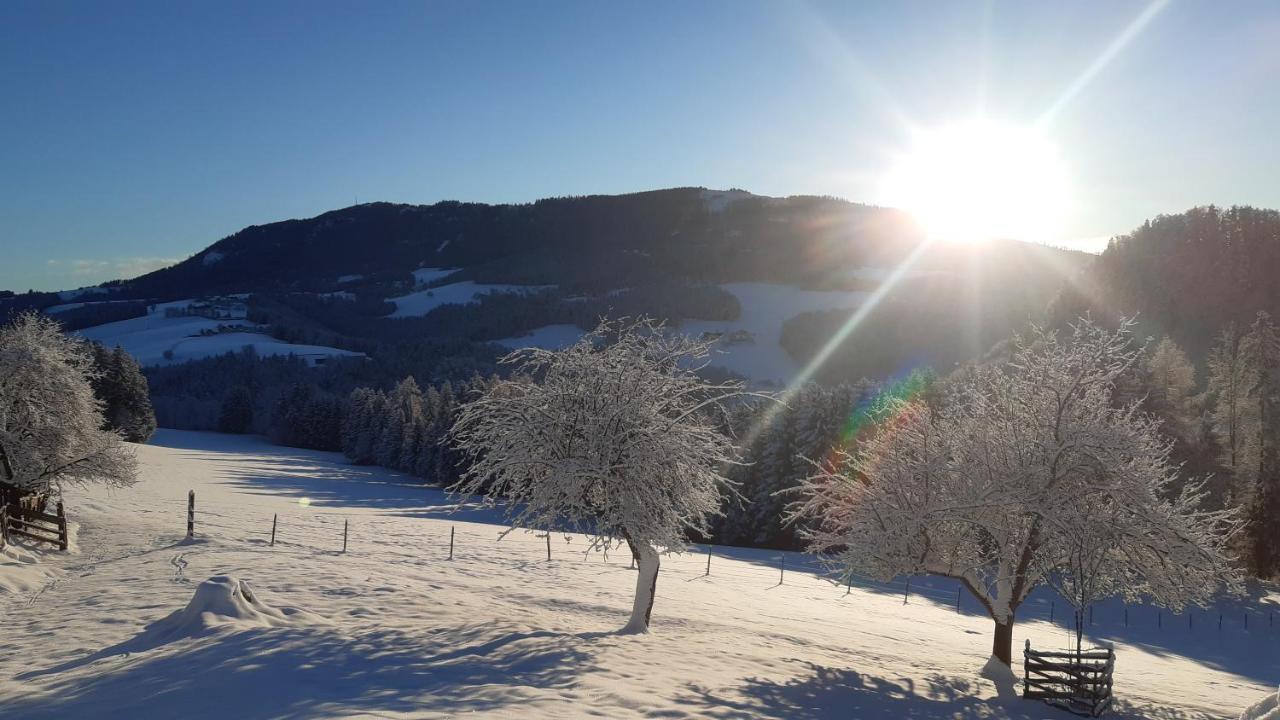 Ferienhaus Reisinger Promschhof Semriach ภายนอก รูปภาพ