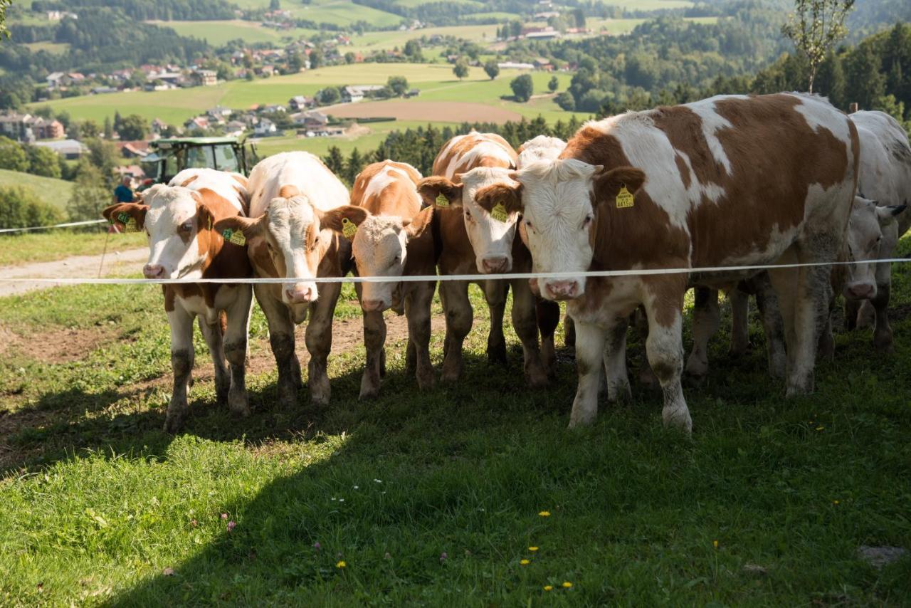 Ferienhaus Reisinger Promschhof Semriach ภายนอก รูปภาพ