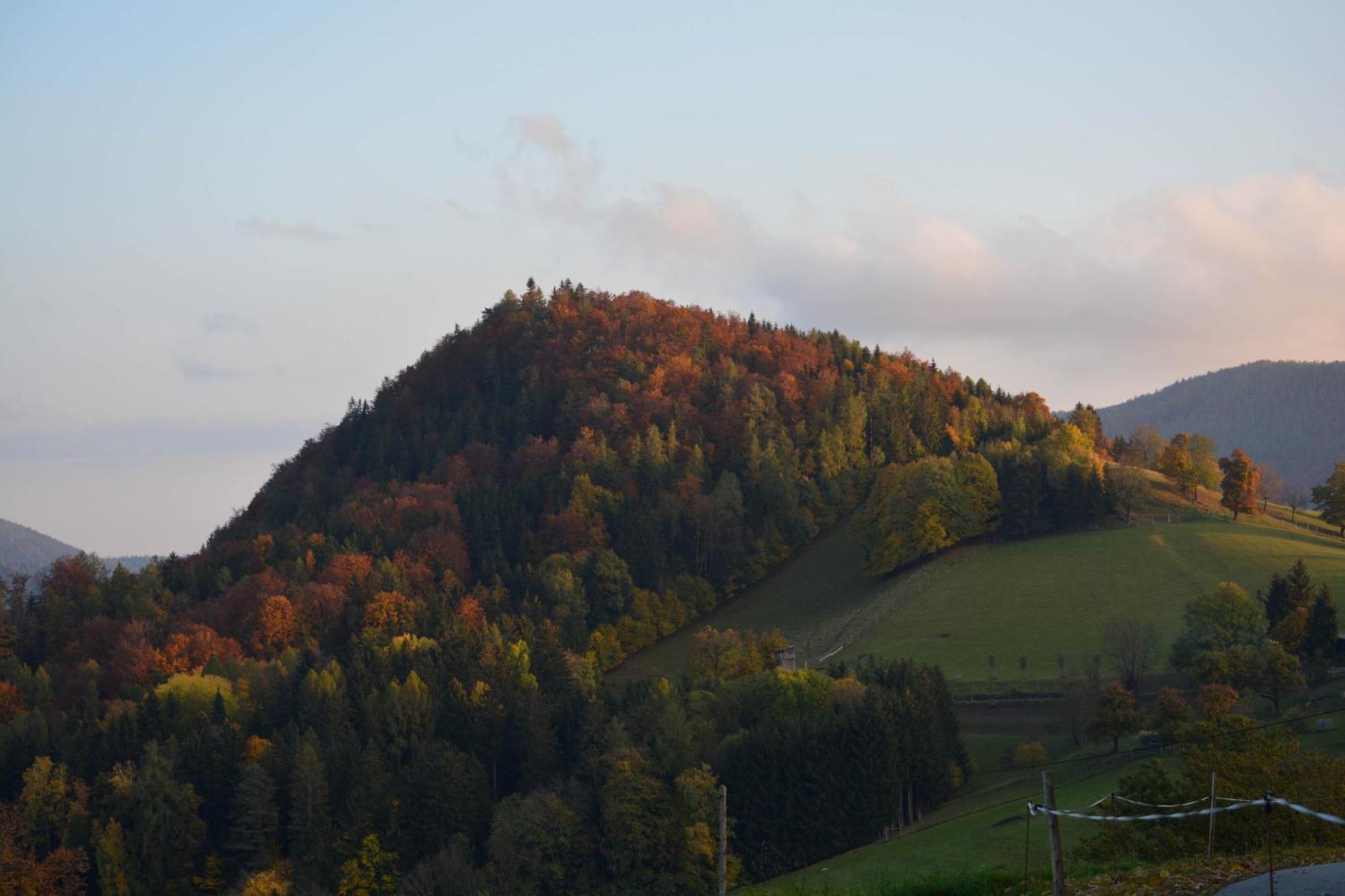 Ferienhaus Reisinger Promschhof Semriach ภายนอก รูปภาพ